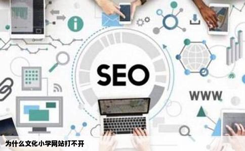 为什么文化小学网站打不开