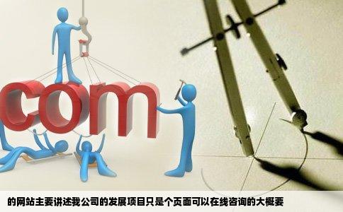 的网站主要讲述我公司的发展项目只是个页面可以在线咨询的大概要