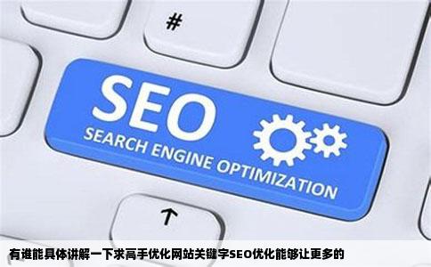 有谁能具体讲解一下求高手优化网站关键字SEO优化能够让更多的