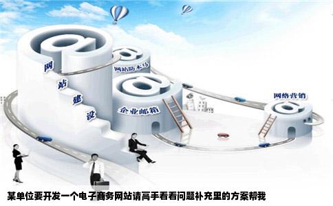 某单位要开发一个电子商务网站请高手看看问题补充里的方案帮我