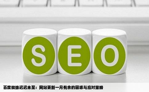 百度蜘蛛迟迟未至：网站更新一月有余的困惑与应对策略