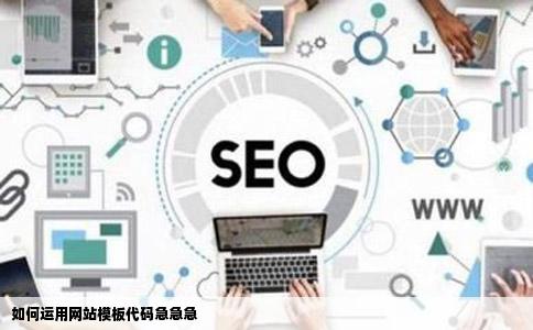 如何运用网站模板代码急急急