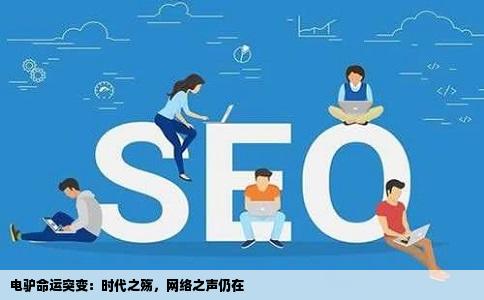 电驴命运突变：时代之殇，网络之声仍在