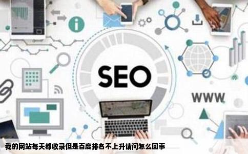 我的网站每天都收录但是百度排名不上升请问怎么回事