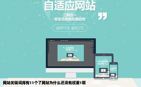网站关键词库有11个了网站为什么还没有权重1啊