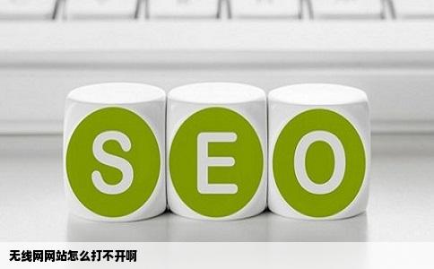 无线网网站怎么打不开啊