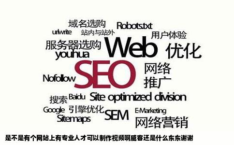 是不是有个网站上有专业人才可以制作视频啊威客还是什么东东谢谢