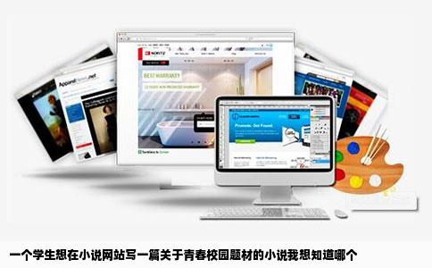 一个学生想在小说网站写一篇关于青春校园题材的小说我想知道哪个