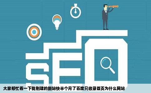 大家帮忙看一下我刚建的新站快半个月了百度只收录首页为什么网站