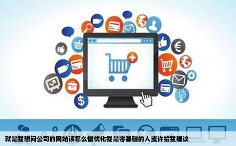 就是我想问公司的网站该怎么做优化我是零基础的人或许给我建议
