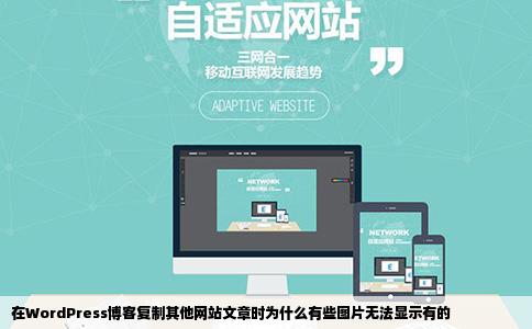 在WordPress博客复制其他网站文章时为什么有些图片无法显示有的