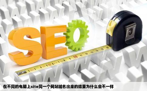 在不同的电脑上site同一个网站域名出来的结果为什么会不一样