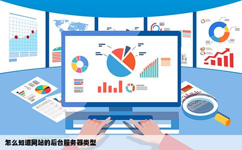 怎么知道网站的后台服务器类型