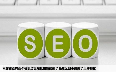 网站首页有两个快照结果把比较新的删了是怎么回事谢谢了大神帮忙