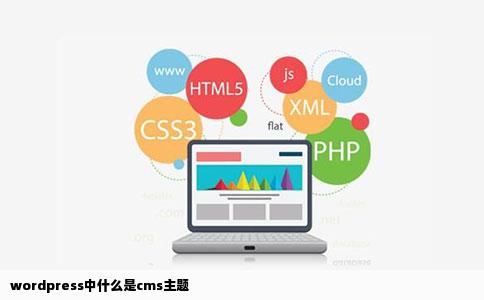 wordpress中什么是cms主题