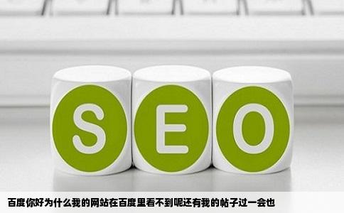 百度你好为什么我的网站在百度里看不到呢还有我的帖子过一会也