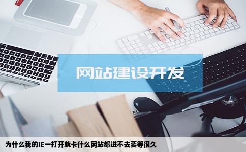 为什么我的IE一打开就卡什么网站都进不去要等很久