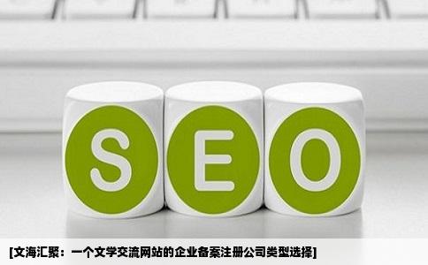 [文海汇聚：一个文学交流网站的企业备案注册公司类型选择]