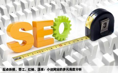 起点纵横、晋江、红袖、潇湘：小说网站的多元角度分析