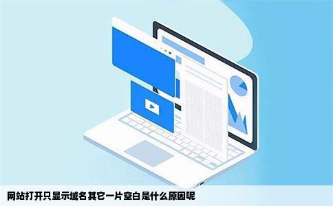 网站打开只显示域名其它一片空白是什么原因呢