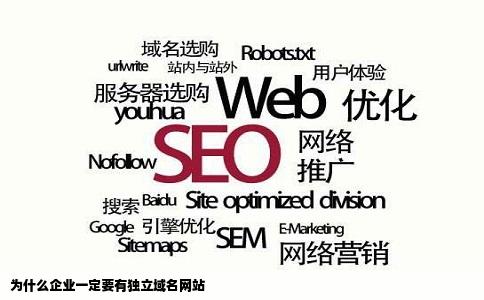 为什么企业一定要有独立域名网站