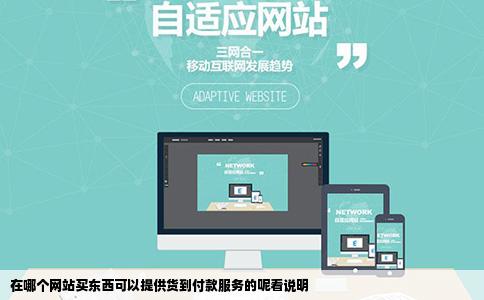在哪个网站买东西可以提供货到付款服务的呢看说明