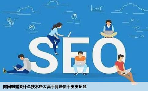 做网站需要什么技术各大高手我是新手支支招急