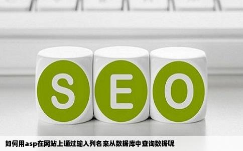 如何用asp在网站上通过输入列名来从数据库中查询数据呢