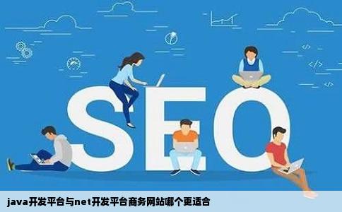 java开发平台与net开发平台商务网站哪个更适合
