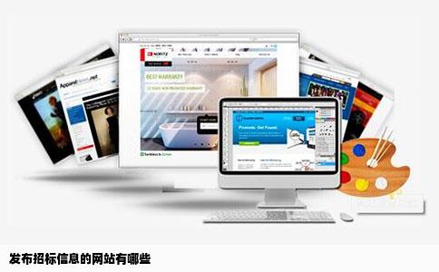 发布招标信息的网站有哪些