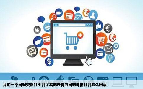 我的一个网站突然打不开了其他所有的网站都能打开怎么回事