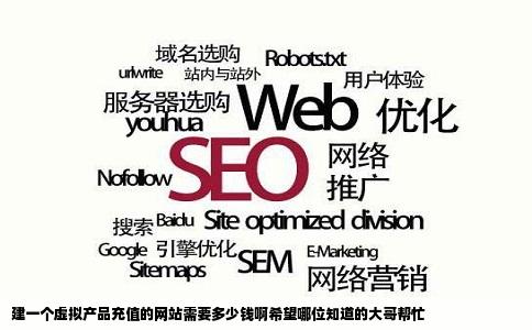 建一个虚拟产品充值的网站需要多少钱啊希望哪位知道的大哥帮忙