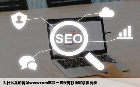 为什么我的网站wwwcom就是一直没有权重呢求救高手