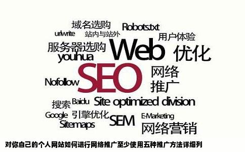 对你自己的个人网站如何进行网络推广至少使用五种推广方法详细列