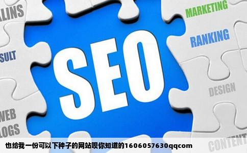 也给我一份可以下种子的网站呗你知道的1606057630qqcom