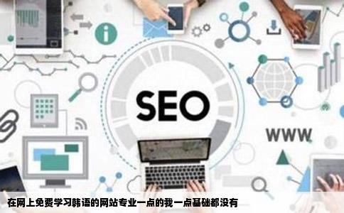 在网上免费学习韩语的网站专业一点的我一点基础都没有