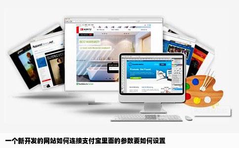 一个新开发的网站如何连接支付宝里面的参数要如何设置