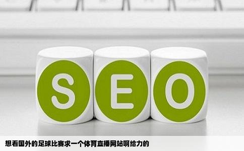 想看国外的足球比赛求一个体育直播网站啊给力的