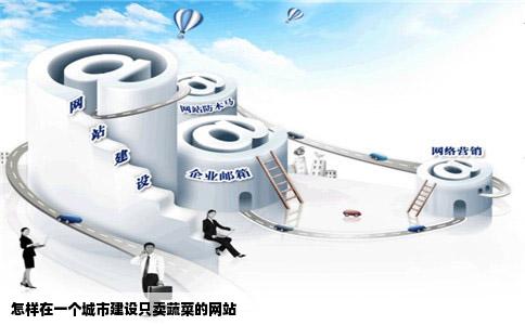 怎样在一个城市建设只卖蔬菜的网站