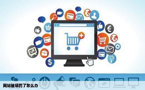 网站被惩罚了怎么办