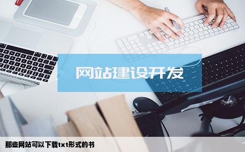 那些网站可以下载txt形式的书