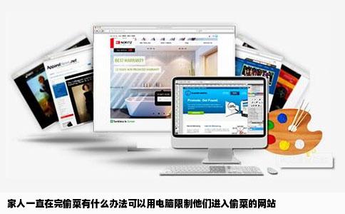 家人一直在完偷菜有什么办法可以用电脑限制他们进入偷菜的网站