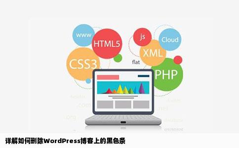 详解如何删除WordPress博客上的黑色条