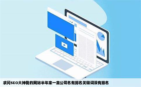 求问SEO大神我的网站半年来一直公司名有排名关键词没有排名