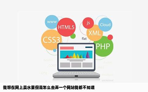 我想在网上卖水果但是怎么去弄一个网站我都不知道