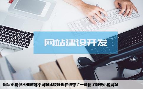 想写小说但不知道哪个网站比较好现在也存了一些稿了想去小说网站