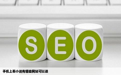 手机上看小说有哪些网站可以进