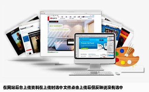 在网站后台上传资料在上传时选中文件点击上传后但反映说没有选中