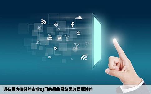 谁有国内做好的专业DJ用的舞曲网站要收费那种的