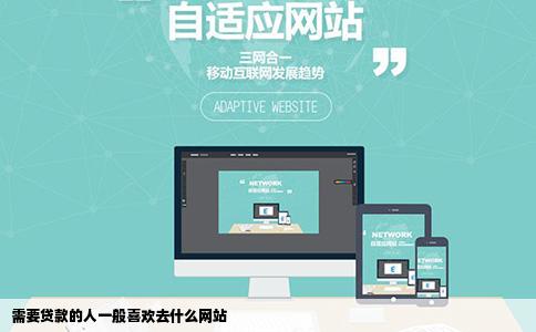 需要贷款的人一般喜欢去什么网站